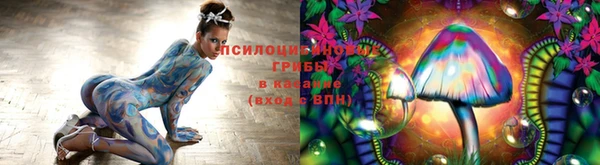 МДПВ Абаза