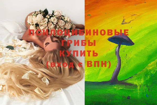 МДПВ Абаза