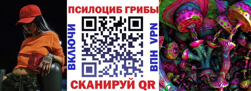 Галлюциногенные грибы GOLDEN TEACHER  сколько стоит  Ладушкин 